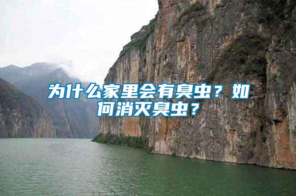 為什么家里會有臭蟲？如何消滅臭蟲？