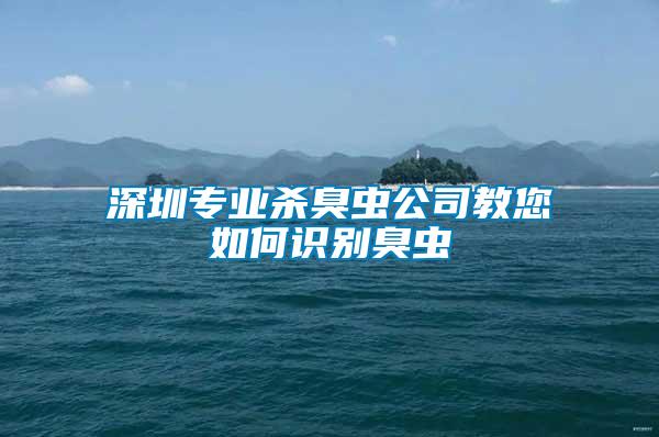 深圳專業(yè)殺臭蟲(chóng)公司教您如何識(shí)別臭蟲(chóng)