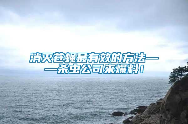 消滅蒼蠅最有效的方法——?dú)⑾x公司來爆料！