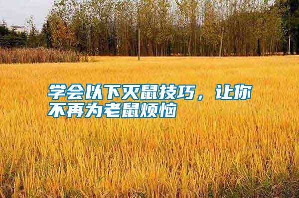 學會以下滅鼠技巧，讓你不再為老鼠煩惱