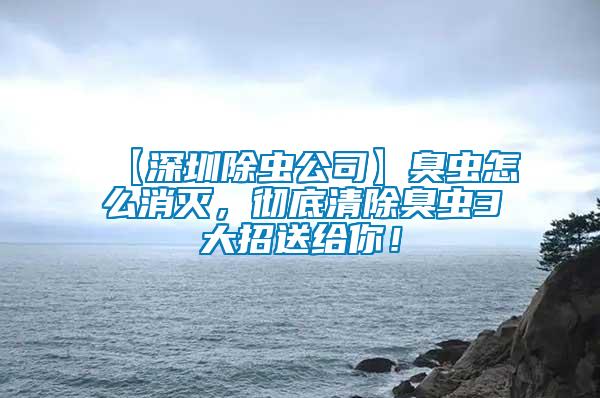 【深圳除蟲公司】臭蟲怎么消滅，徹底清除臭蟲3大招送給你！