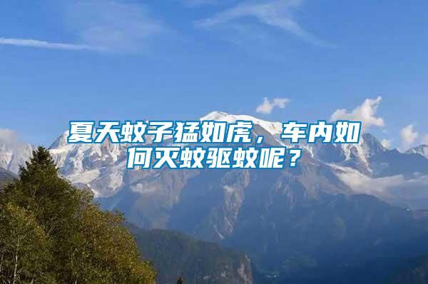 夏天蚊子猛如虎，車內(nèi)如何滅蚊驅(qū)蚊呢？