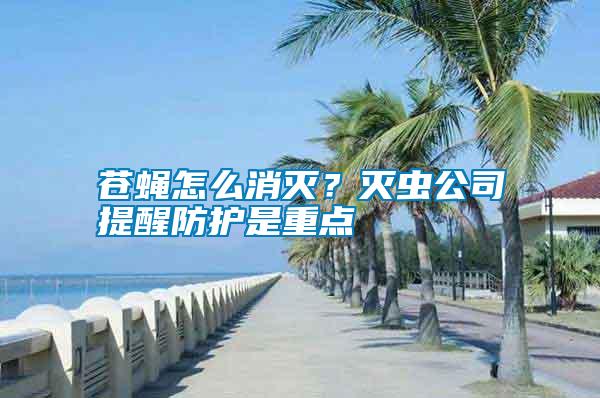 蒼蠅怎么消滅？滅蟲公司提醒防護(hù)是重點(diǎn)