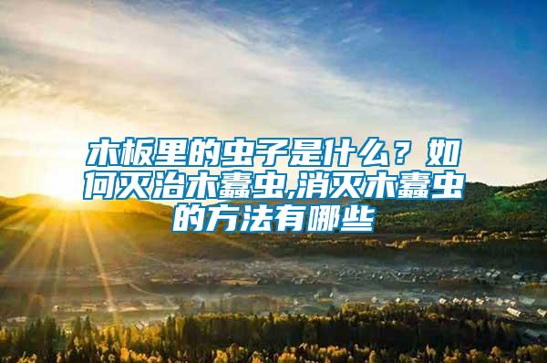 木板里的蟲子是什么？如何滅治木蠹蟲,消滅木蠹蟲的方法有哪些