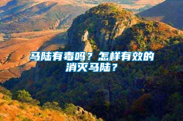 馬陸有毒嗎？怎樣有效的消滅馬陸？