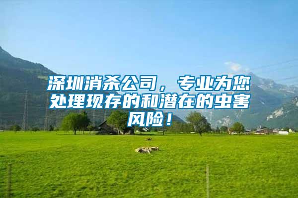 深圳消殺公司，專業(yè)為您處理現存的和潛在的蟲害風險！
