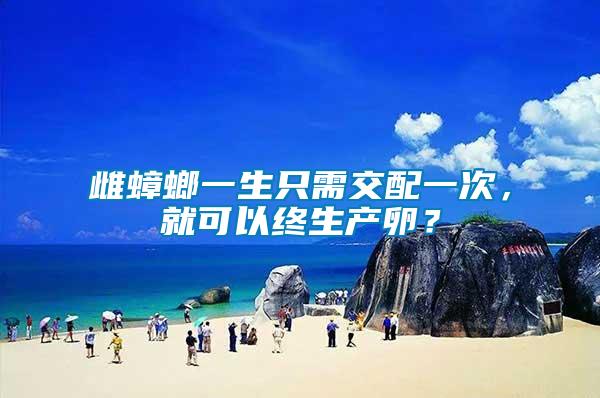 雌蟑螂一生只需交配一次，就可以終生產卵？
