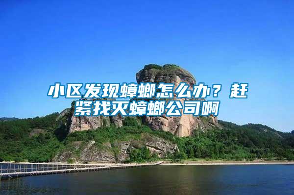 小區(qū)發(fā)現(xiàn)蟑螂怎么辦？趕緊找滅蟑螂公司啊