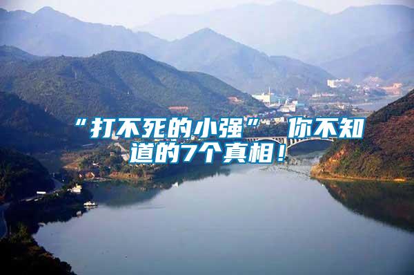 “打不死的小強(qiáng)” 你不知道的7個(gè)真相！