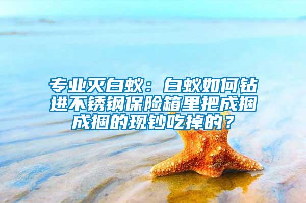 專業(yè)滅白蟻：白蟻如何鉆進(jìn)不銹鋼保險箱里把成捆成捆的現(xiàn)鈔吃掉的？
