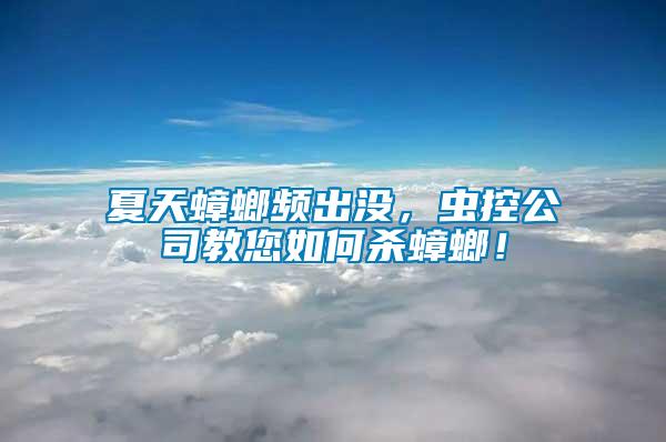 夏天蟑螂頻出沒，蟲控公司教您如何殺蟑螂！