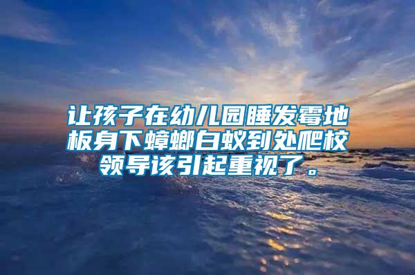 讓孩子在幼兒園睡發(fā)霉地板身下蟑螂白蟻到處爬校領(lǐng)導(dǎo)該引起重視了。