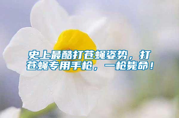 史上最酷打蒼蠅姿勢(shì)，打蒼蠅專用手槍，一槍斃命！