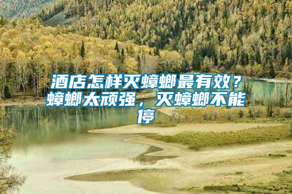 酒店怎樣滅蟑螂最有效？蟑螂太頑強，滅蟑螂不能停