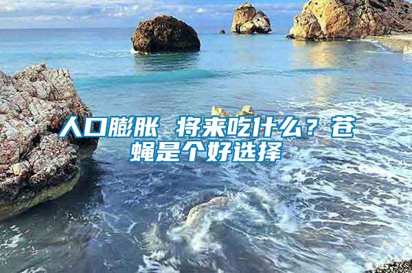 人口膨脹 將來(lái)吃什么？蒼蠅是個(gè)好選擇