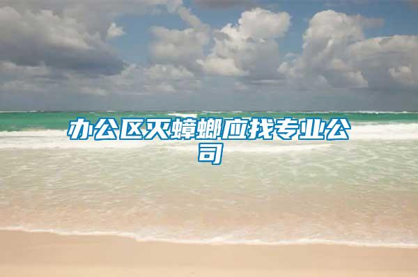 辦公區(qū)滅蟑螂應找專業(yè)公司
