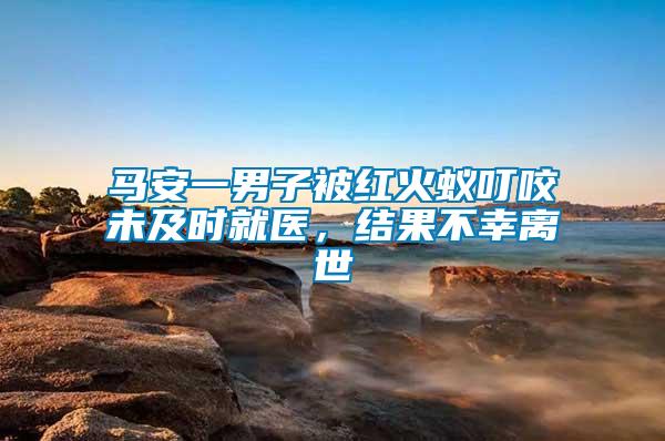 馬安一男子被紅火蟻叮咬未及時就醫，結果不幸離世