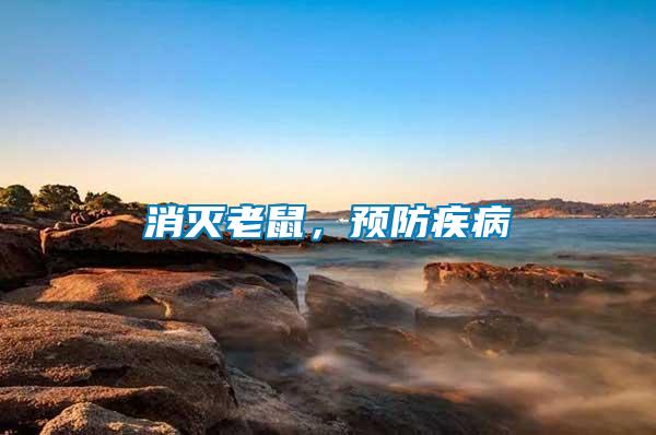 消滅老鼠，預防疾病