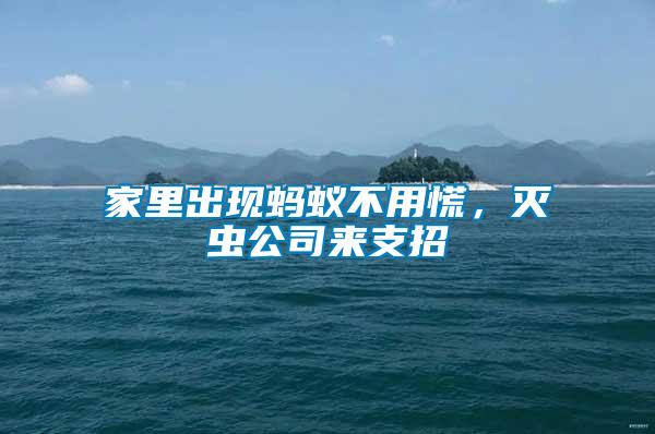 家里出現(xiàn)螞蟻不用慌，滅蟲公司來(lái)支招