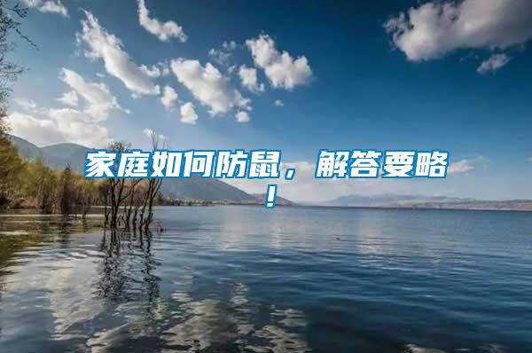 家庭如何防鼠，解答要略！