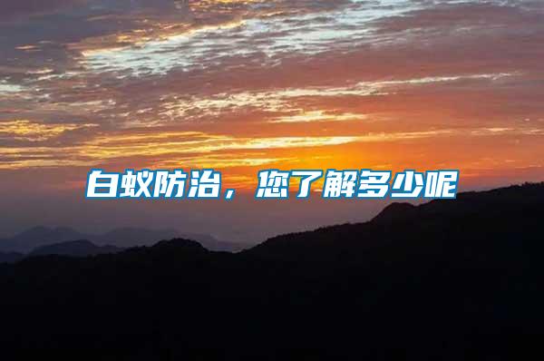 白蟻防治，您了解多少呢
