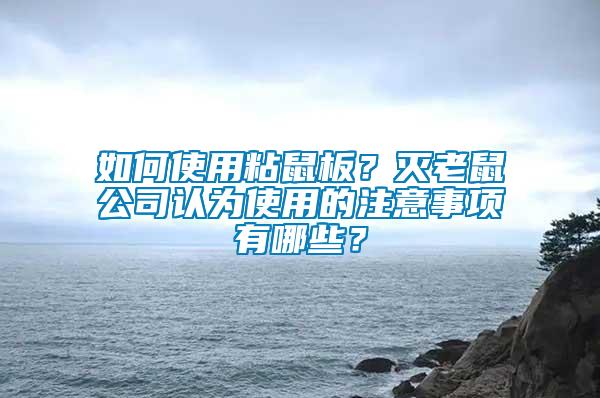 如何使用粘鼠板？滅老鼠公司認為使用的注意事項有哪些？