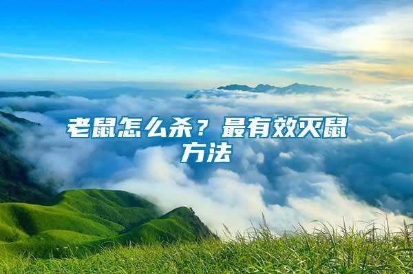 老鼠怎么殺？最有效滅鼠方法