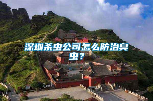深圳殺蟲公司怎么防治臭蟲？