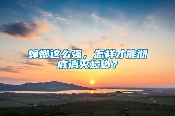蟑螂這么強(qiáng)，怎樣才能徹底消滅蟑螂？