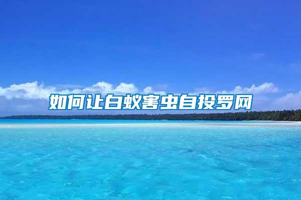 如何讓白蟻害蟲(chóng)自投羅網(wǎng)