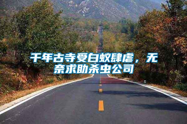 千年古寺受白蟻肆虐，無奈求助殺蟲公司