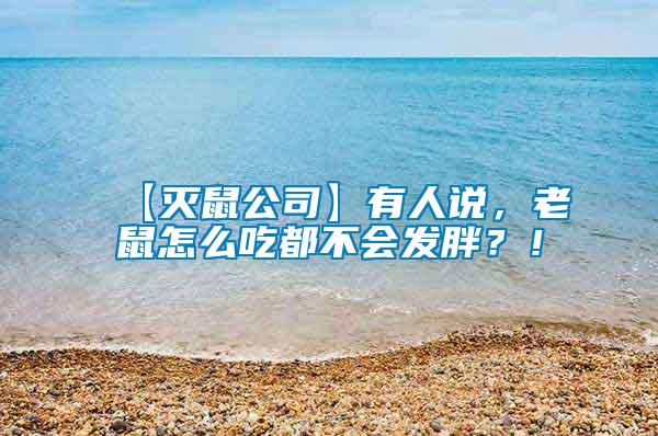 【滅鼠公司】有人說，老鼠怎么吃都不會發胖？！