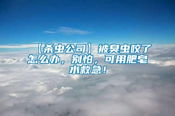 【殺蟲公司】被臭蟲咬了怎么辦，別怕，可用肥皂水救急！