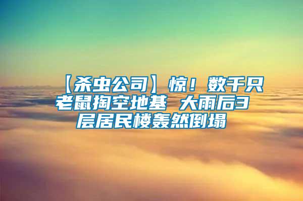 【殺蟲公司】驚！數(shù)千只老鼠掏空地基 大雨后3層居民樓轟然倒塌