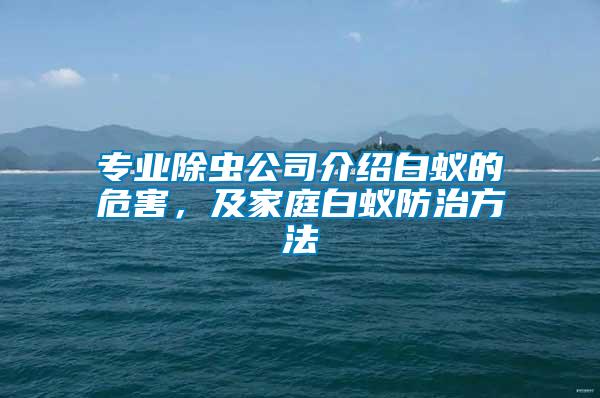 專業(yè)除蟲(chóng)公司介紹白蟻的危害，及家庭白蟻防治方法