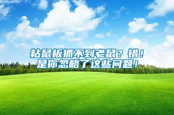粘鼠板抓不到老鼠？錯(cuò)！是你忽略了這些問(wèn)題！