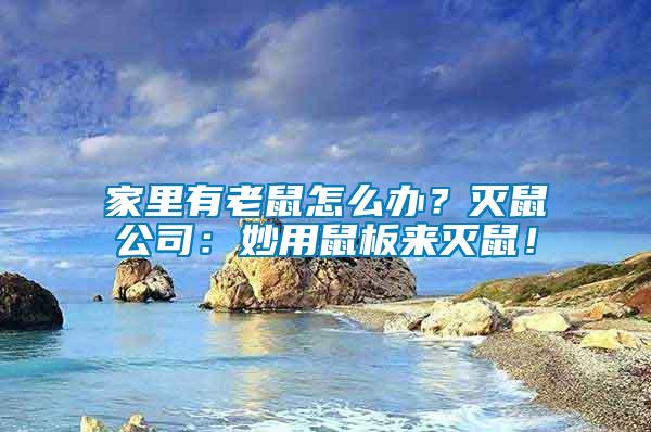 家里有老鼠怎么辦？滅鼠公司：妙用鼠板來(lái)滅鼠！