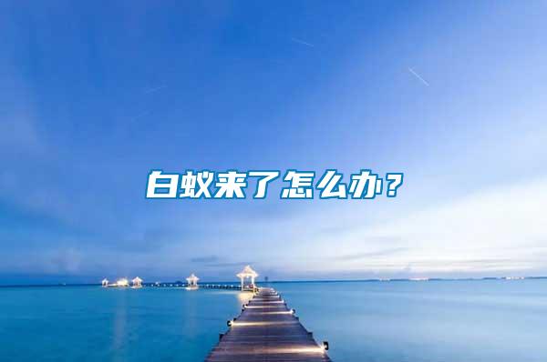 白蟻來了怎么辦？