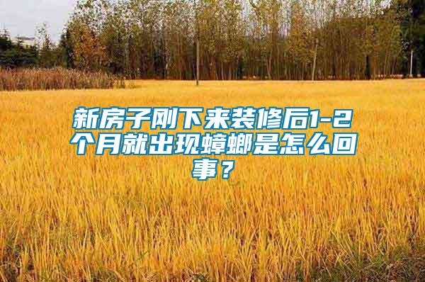 新房子剛下來裝修后1-2個(gè)月就出現(xiàn)蟑螂是怎么回事？