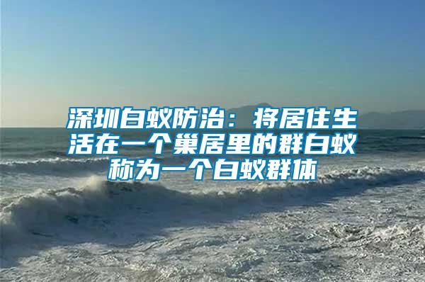 深圳白蟻防治：將居住生活在一個(gè)巢居里的群白蟻稱為一個(gè)白蟻群體