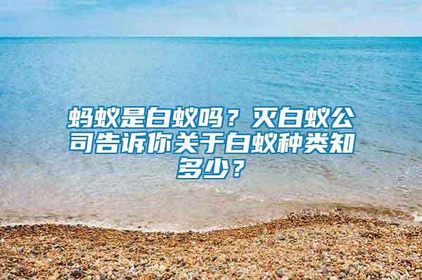 螞蟻是白蟻嗎？滅白蟻公司告訴你關于白蟻種類知多少？
