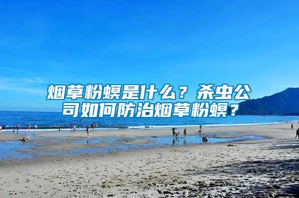 煙草粉螟是什么？殺蟲(chóng)公司如何防治煙草粉螟？
