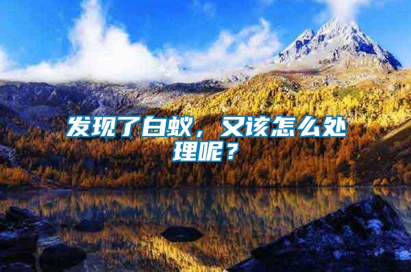 發(fā)現(xiàn)了白蟻，又該怎么處理呢？