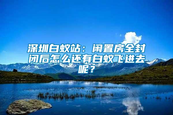 深圳白蟻站：閑置房全封閉后怎么還有白蟻飛進(jìn)去呢？