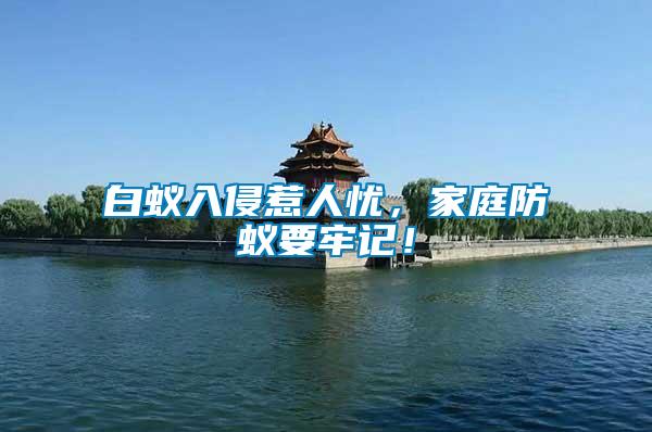 白蟻入侵惹人憂，家庭防蟻要牢記！