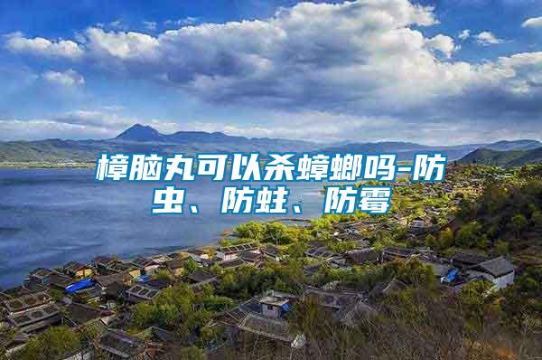 樟腦丸可以殺蟑螂嗎-防蟲(chóng)、防蛀、防霉