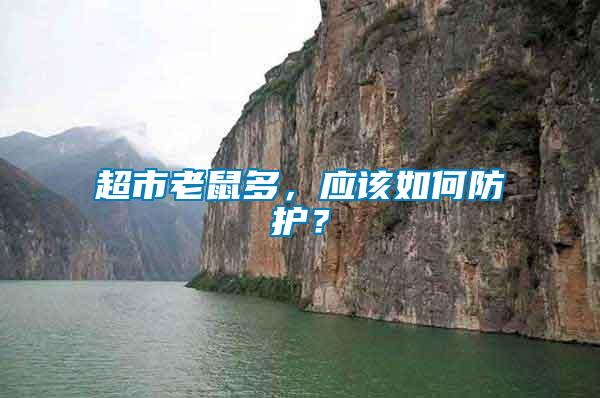 超市老鼠多，應(yīng)該如何防護(hù)？