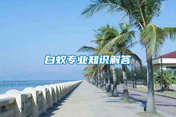 白蟻專業(yè)知識(shí)解答