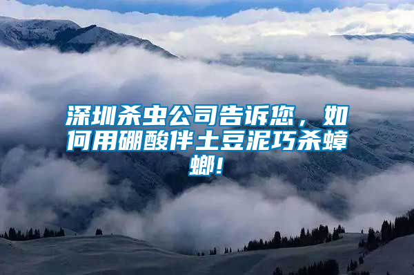 深圳殺蟲(chóng)公司告訴您，如何用硼酸伴土豆泥巧殺蟑螂!