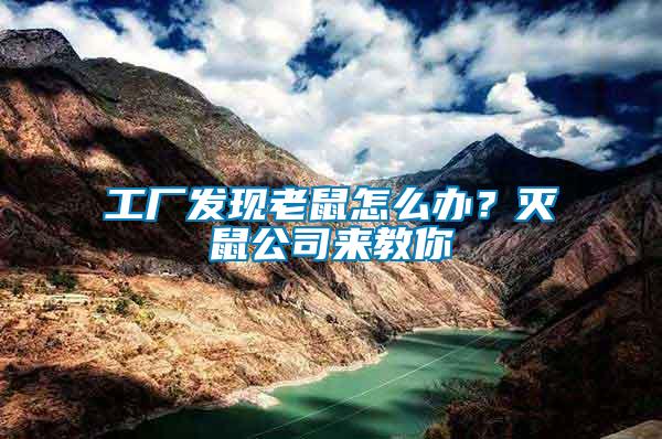 工廠發(fā)現(xiàn)老鼠怎么辦？滅鼠公司來教你